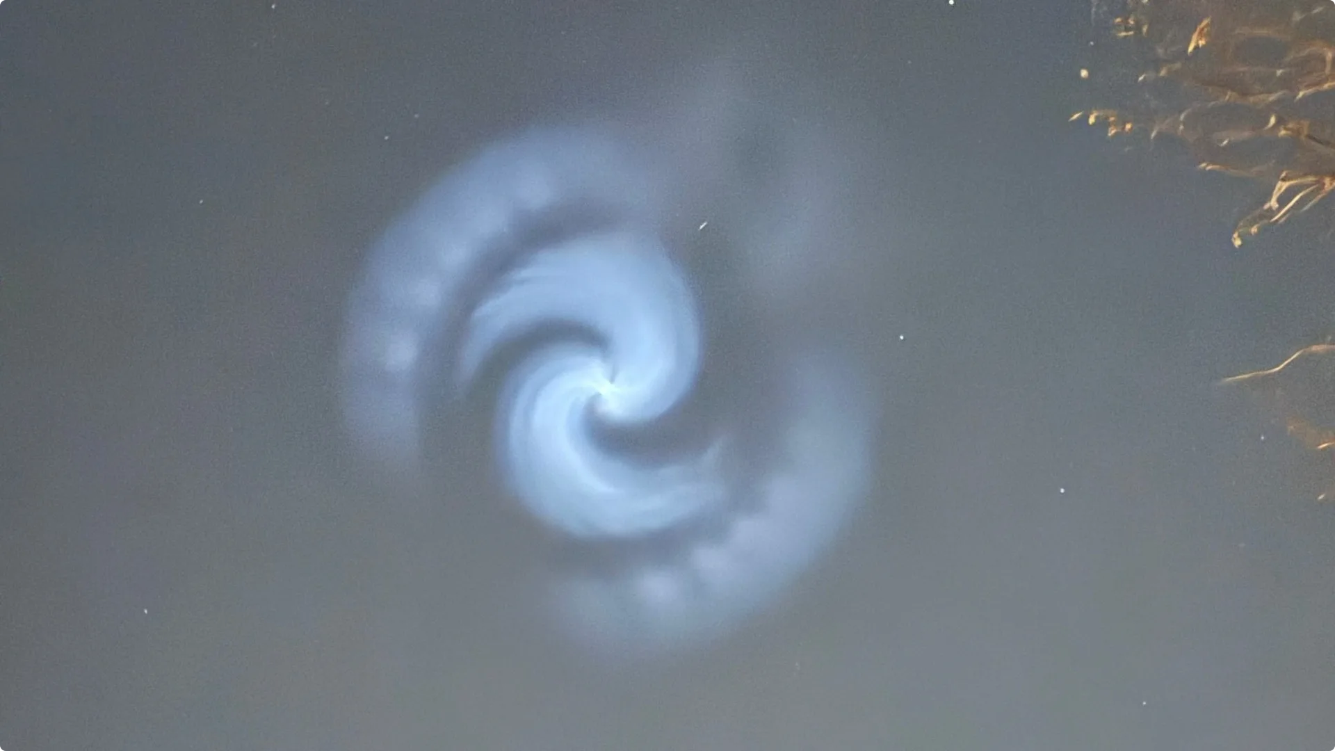 Beeld: Joop Cleijne uit Heumen