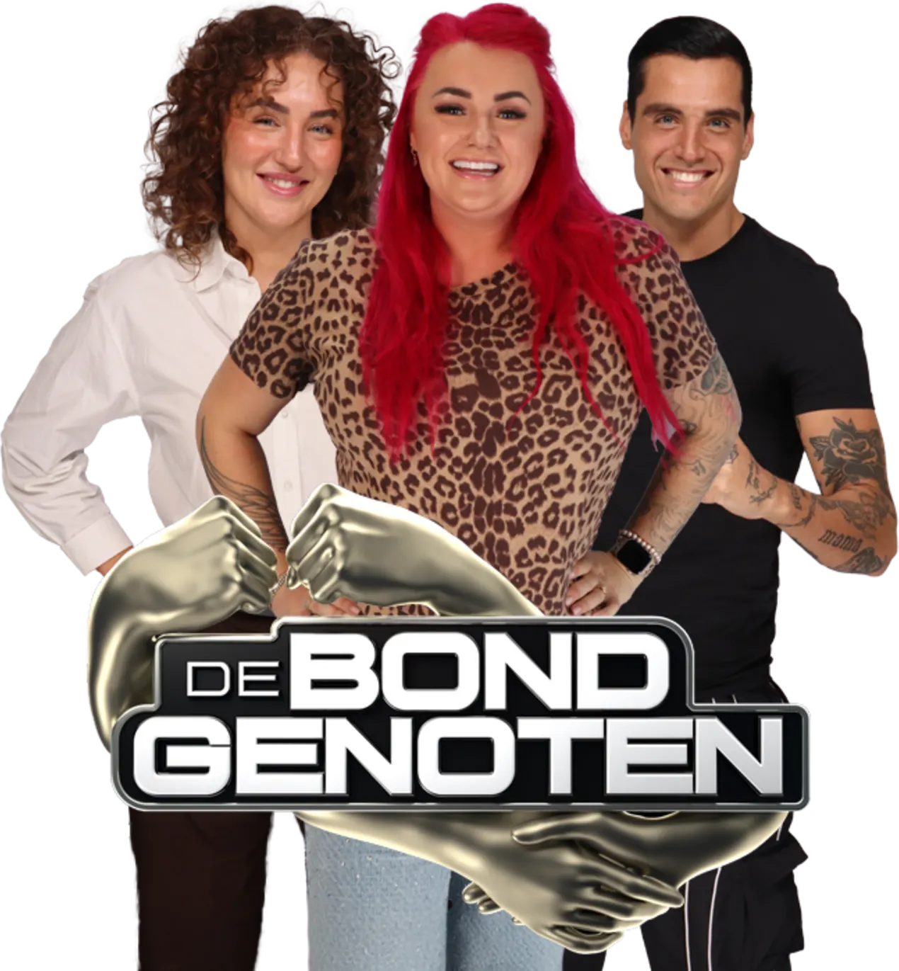 Het beste van De Bondgenoten