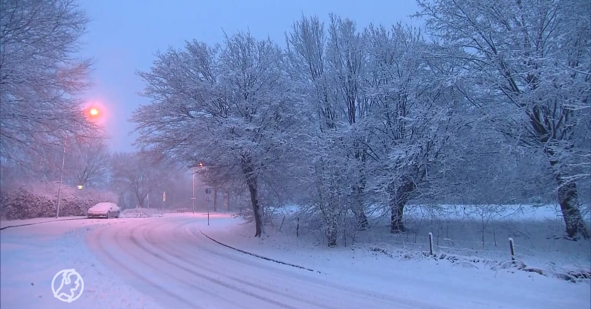 Het gaat weer sneeuwen: woensdagavond en donderdag opnieuw wit, maar op