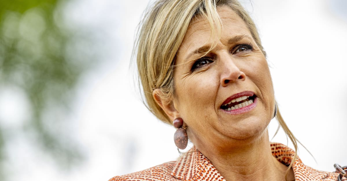 Nieuwe functie voor Máxima bij de Verenigde Naties | Hart van Nederland