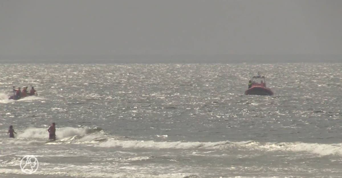 Drenkeling bij Texel razendsnel uit het water gered | Hart van Nederland