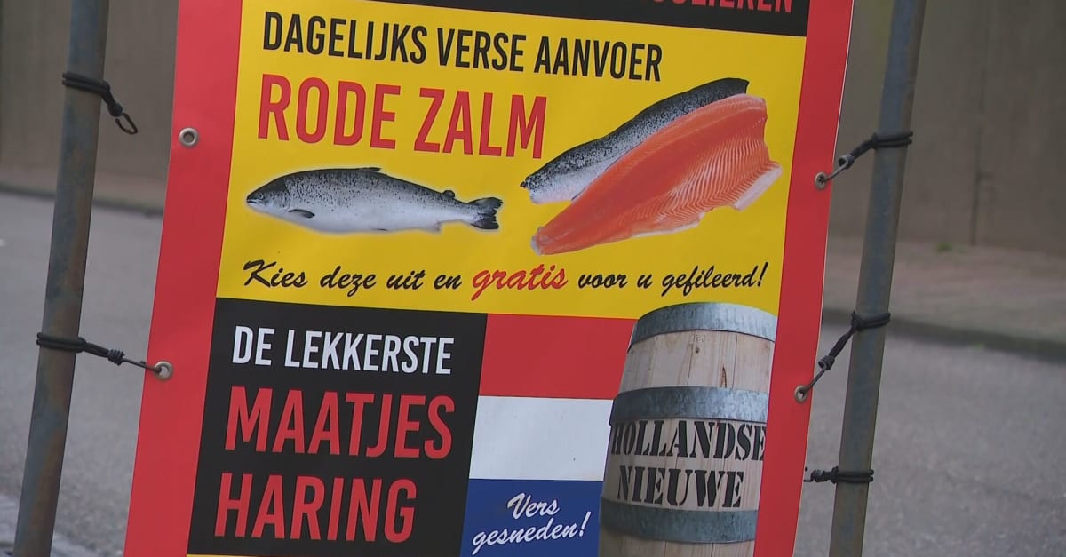 Vlees- noch visreclames door verbod in bushokjes Noord-Holland