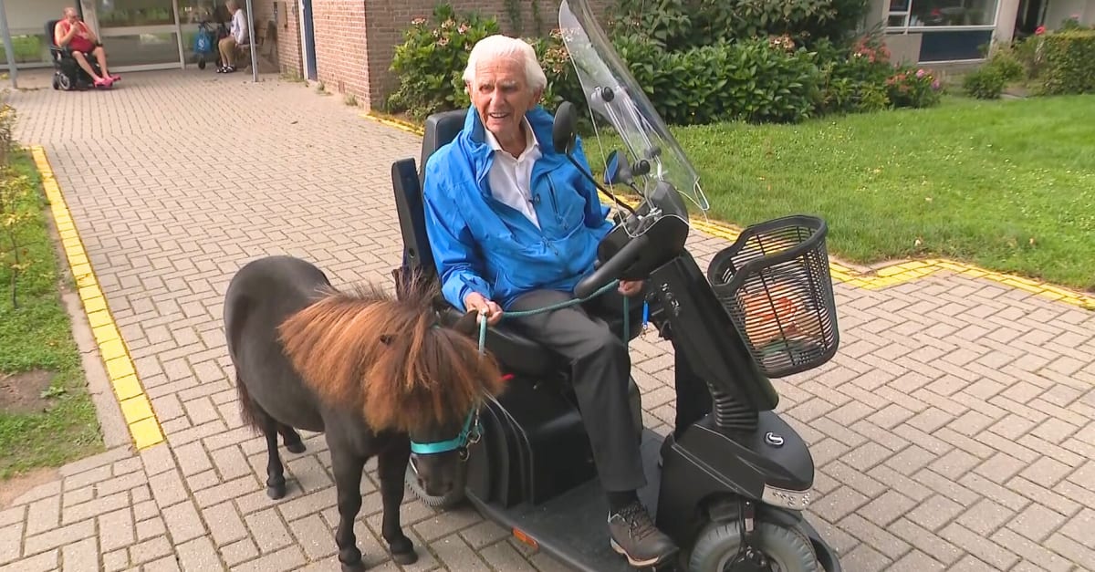 Ab (94) zijn beste vriend is pony Jack: 'Ik hou van hem en hij van mij