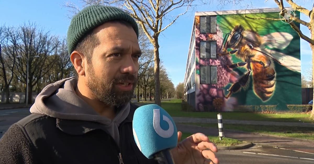 Mooiste muurschildering van de wereld kan in Nederland hangen