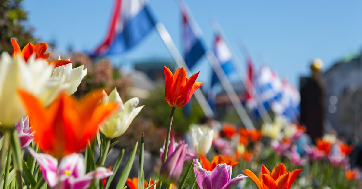 Waarom de één wél vrij is op 5 mei en de ander niet | Hart van Nederland
