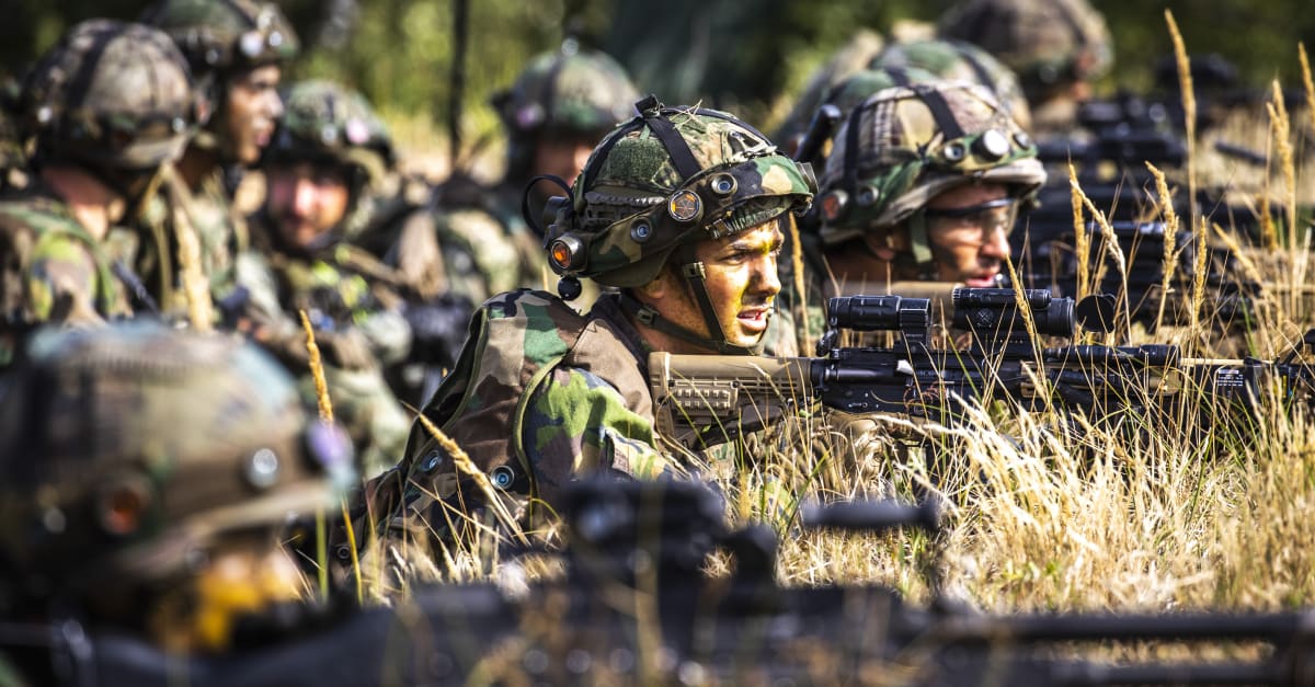 Defensie kijkt naar actieve dienstplicht in Nederland | Hart van Nederland