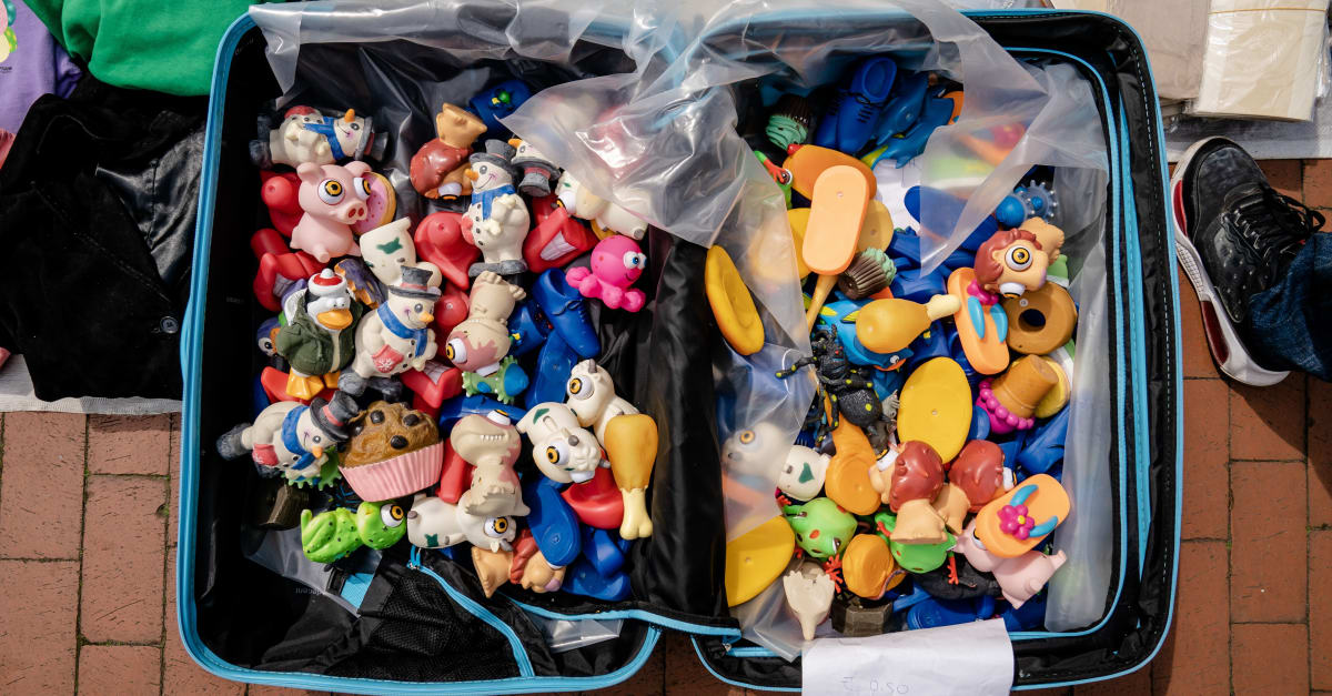 Belastingcontrole op verkopen Vinted, Marktplaats en Bol.com: wat