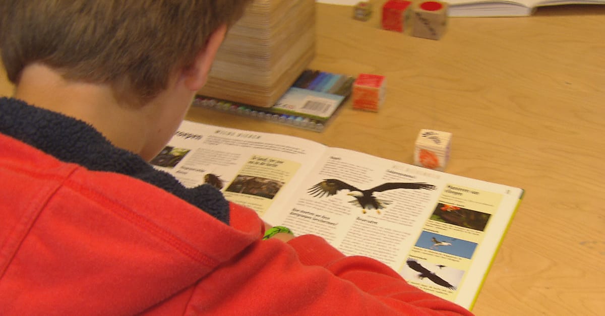 'Meer kinderen met autisme zitten thuis en gaan niet naar school