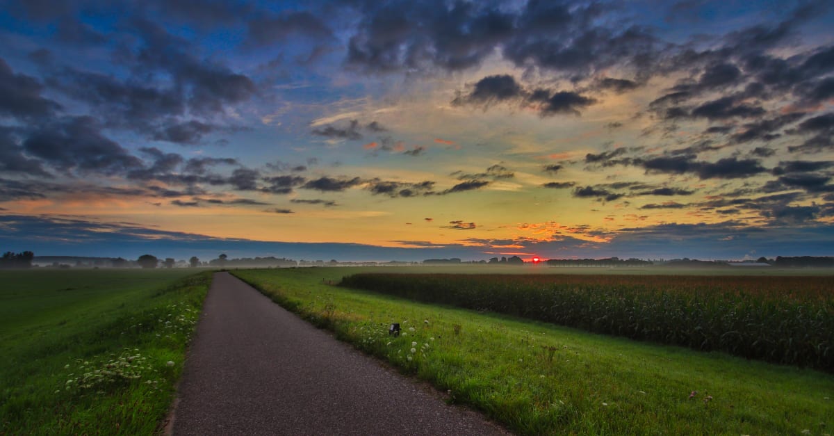 Het Weer Voor De Hele Week