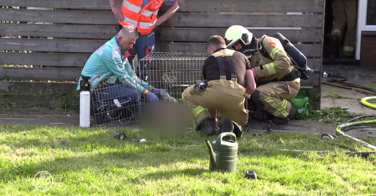 Hond overleden na grote woningbrand in Silvolde | Hart van Nederland