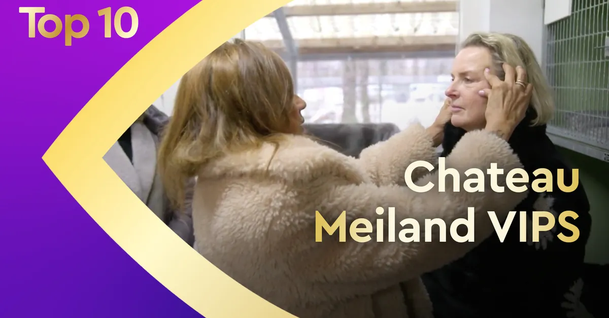 Top 10 Chateau Meiland: de hoogtepunten van het afgelopen jaar | Shownieuws