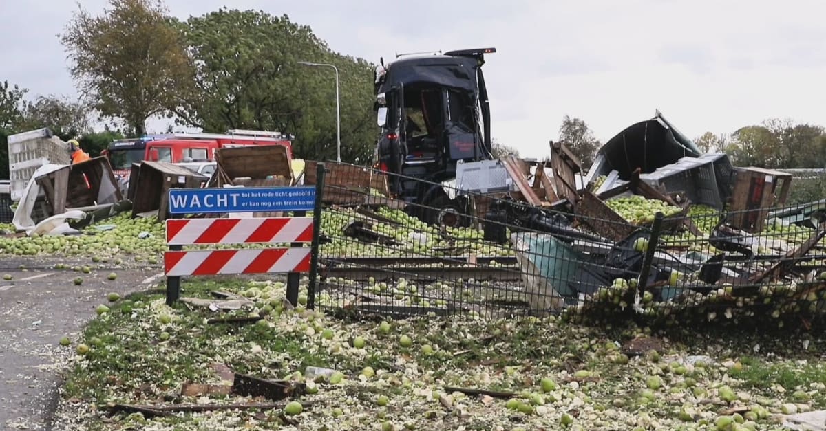 www.hartvannederland.nl